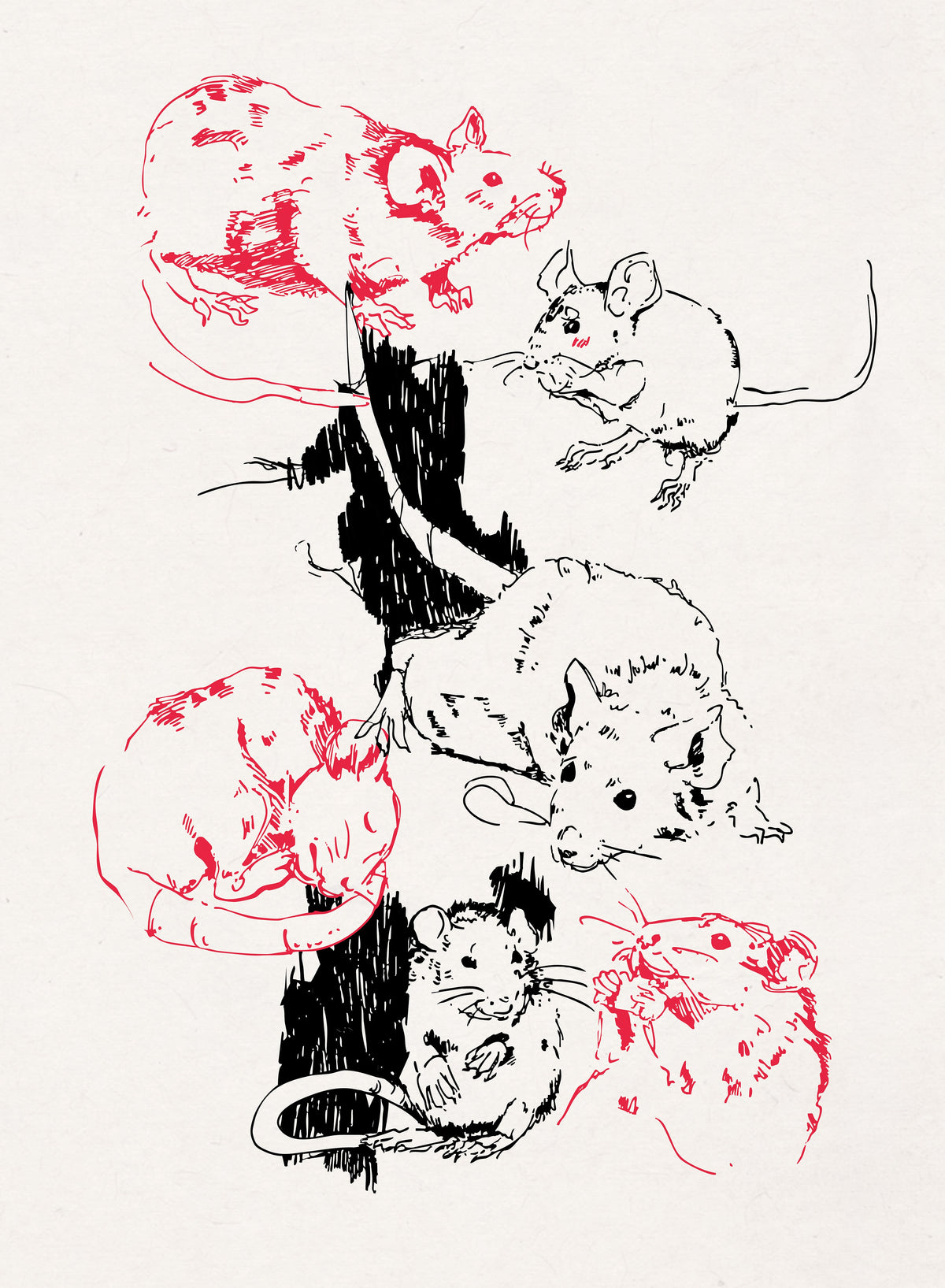 We Love Rats