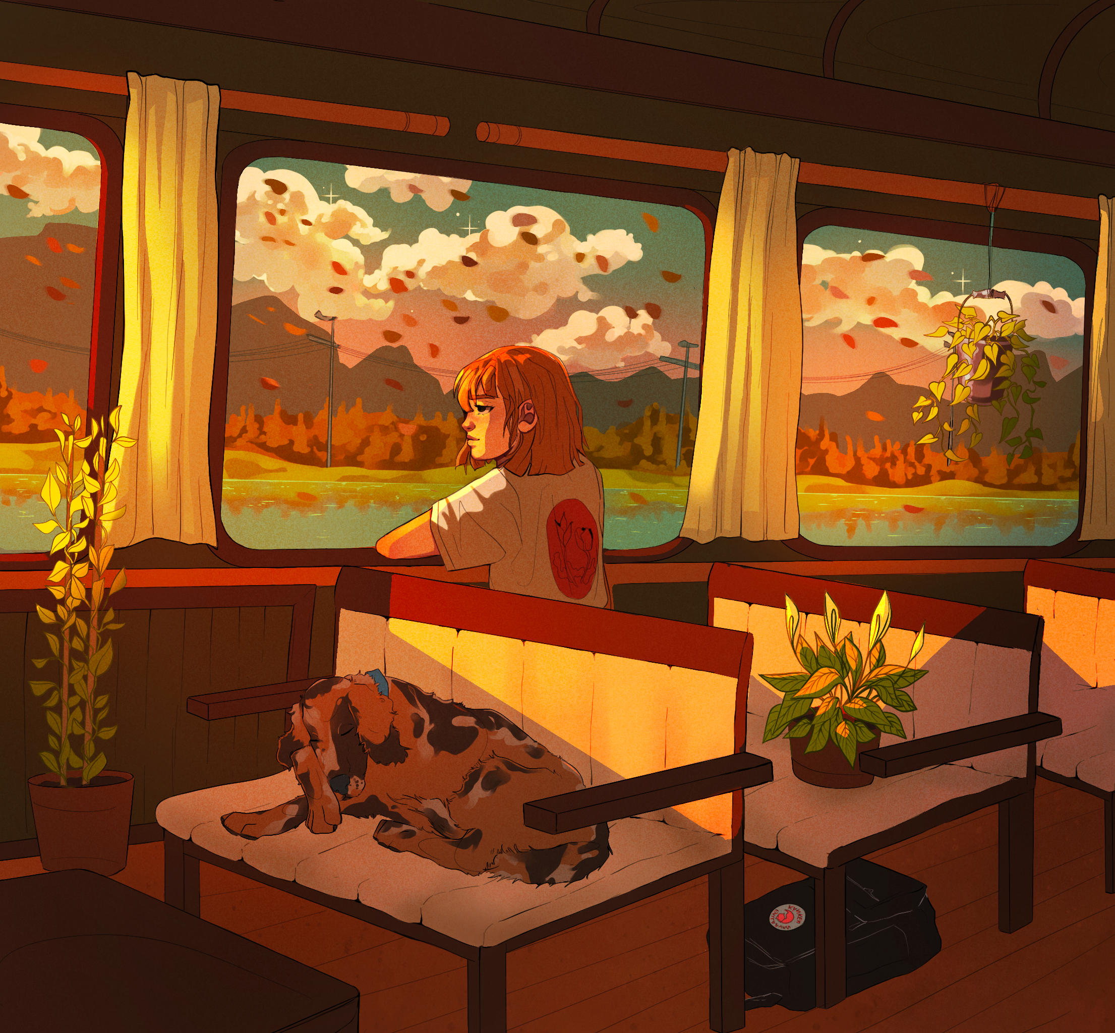 The Scenic Route